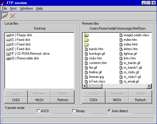 The FTP client window